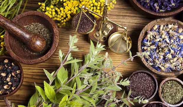 Gyógynövények a kozmetikumokban – igen vagy nem?